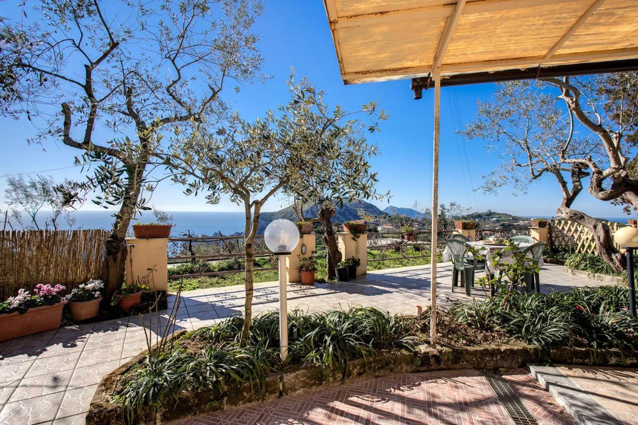 Il Pioppo - Country House Sea View 马萨鲁布朗斯 外观 照片